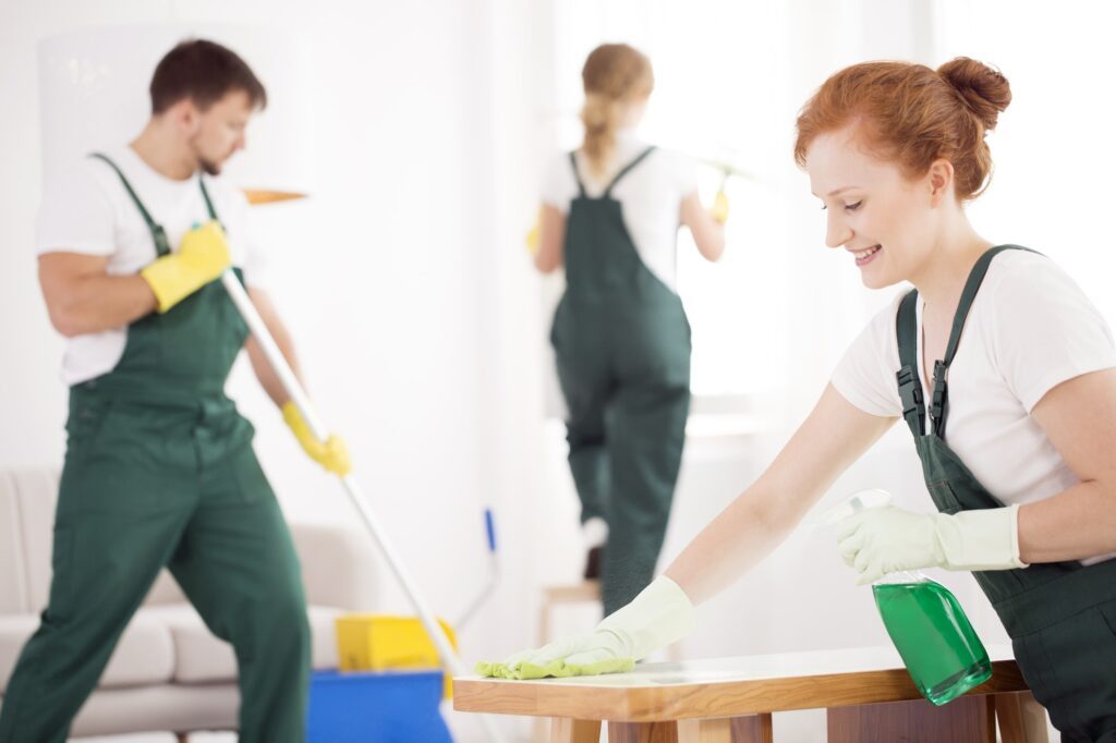 professional cleaning service